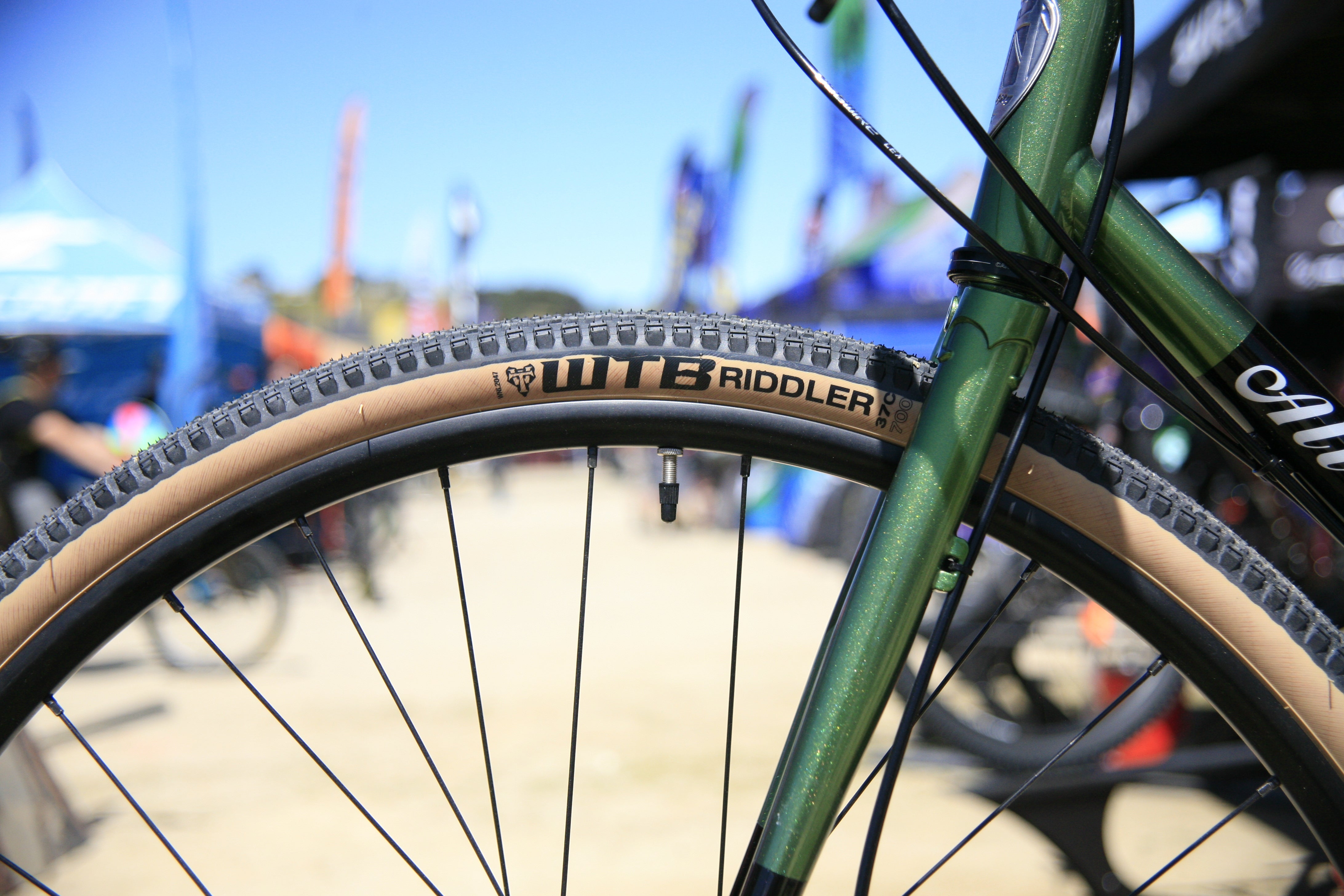 WTB at Sea Otter
