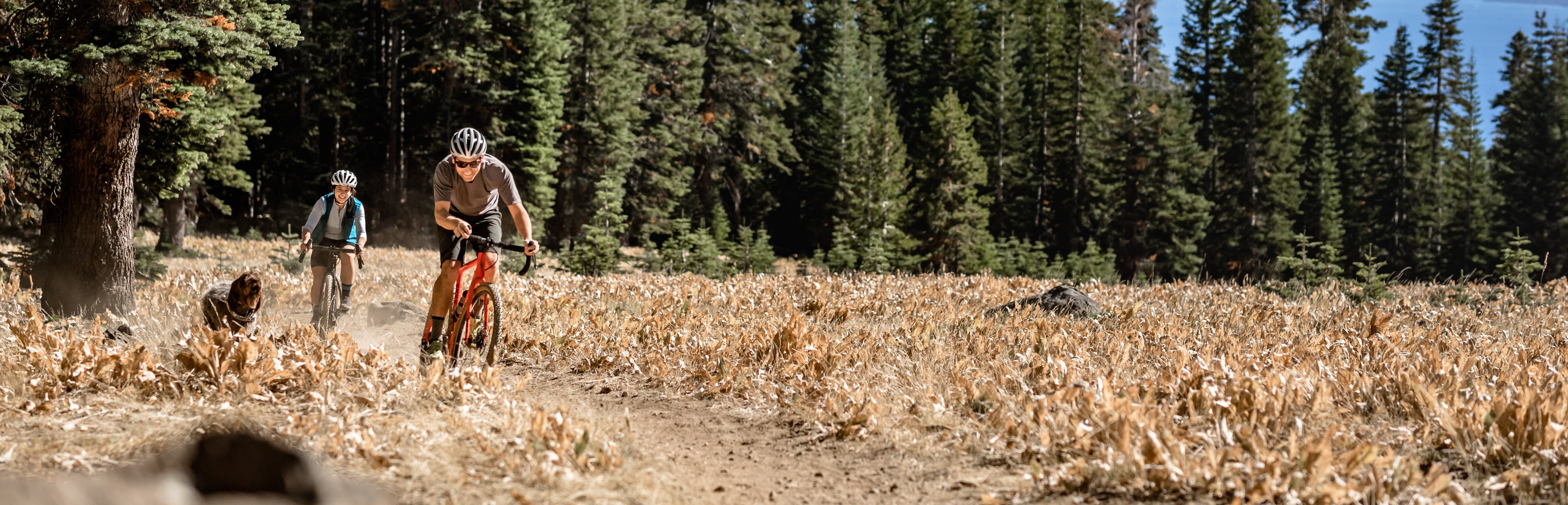 Gravel / CX