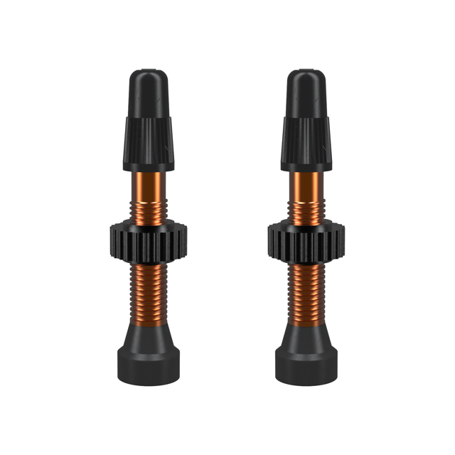 WTB TCS Tubeless-Ready Valve - 34mm Orange