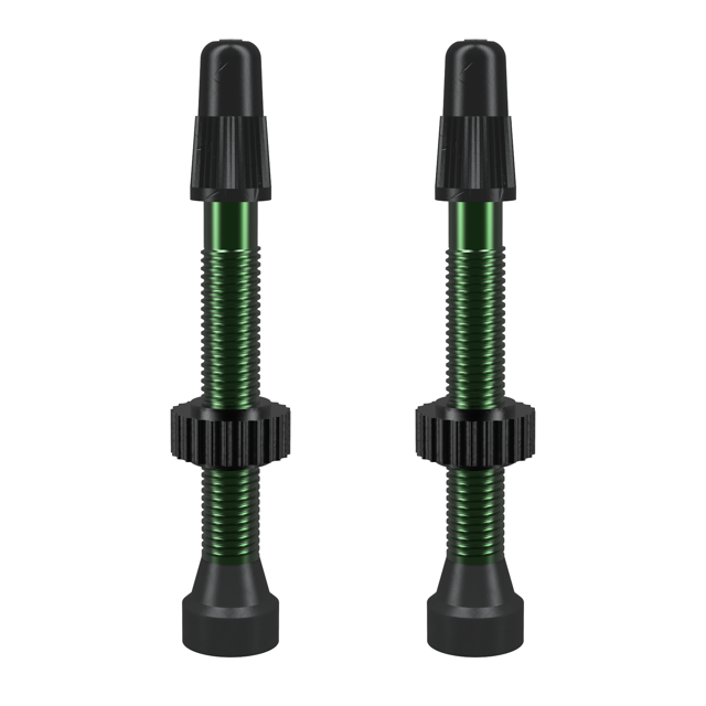 WTB TCS Tubeless-Ready Valve- 46mm Green