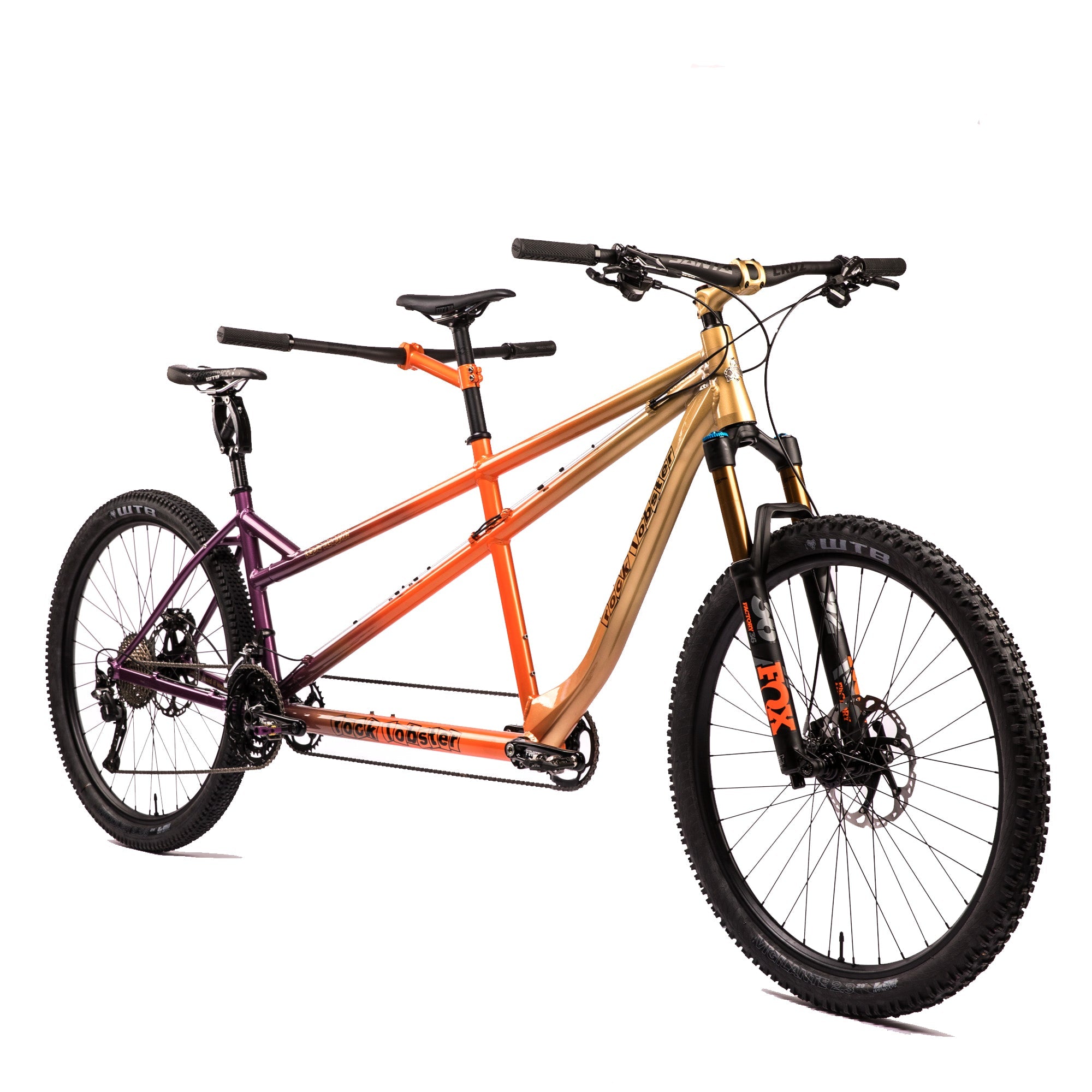 Team Scrapin's Custom Tandem Beast